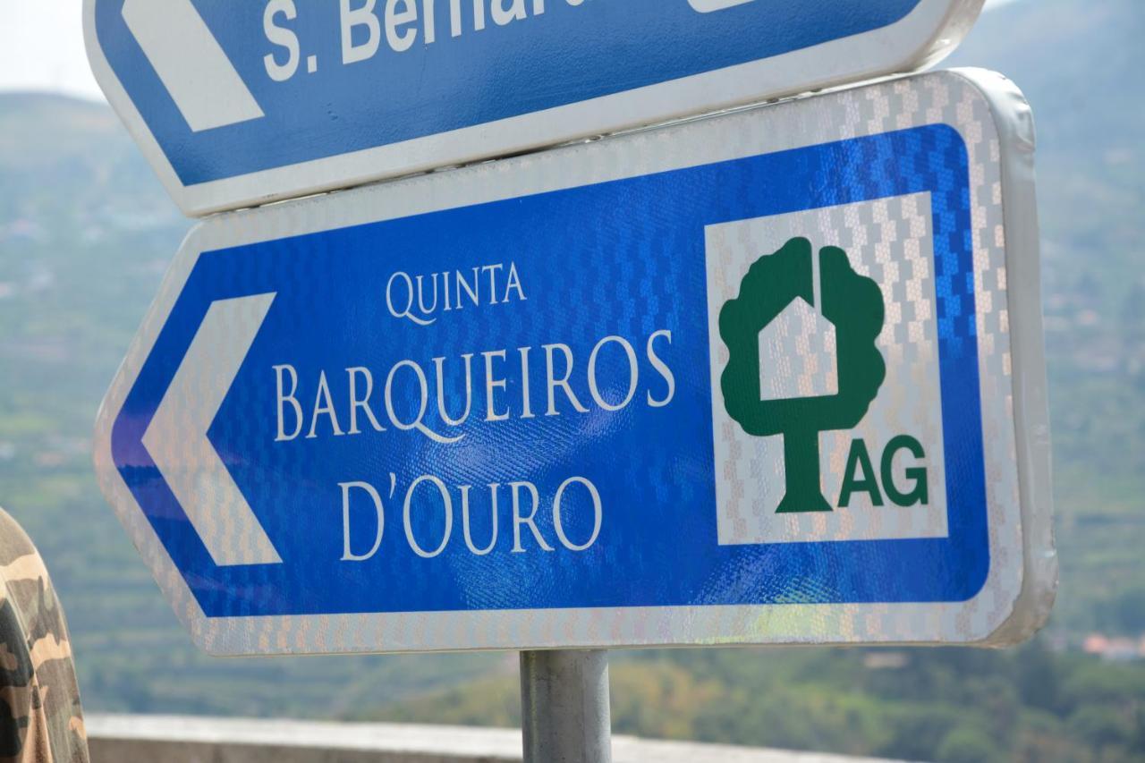 Quinta Barqueiros D'Ouro - Casa Da Musica Villa Mesão Frio Екстериор снимка