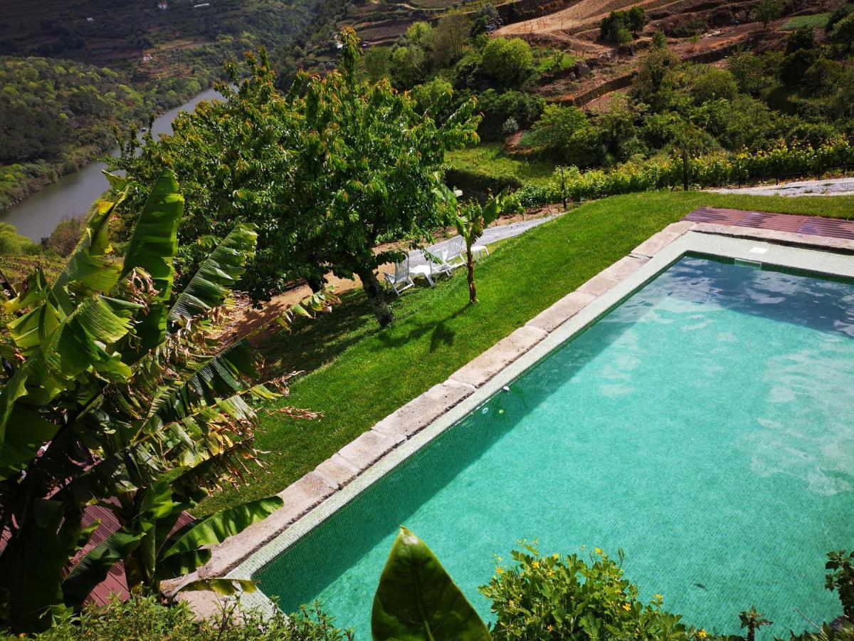 Quinta Barqueiros D'Ouro - Casa Da Musica Villa Mesão Frio Екстериор снимка