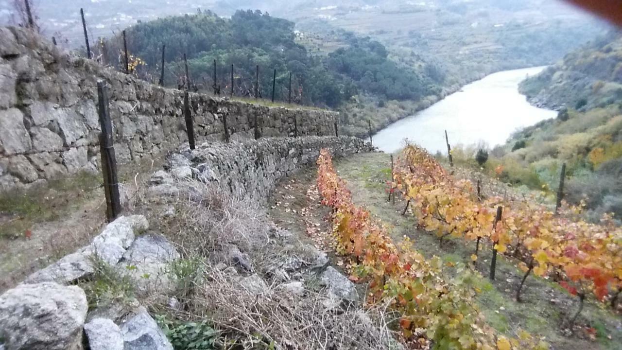 Quinta Barqueiros D'Ouro - Casa Da Musica Villa Mesão Frio Екстериор снимка