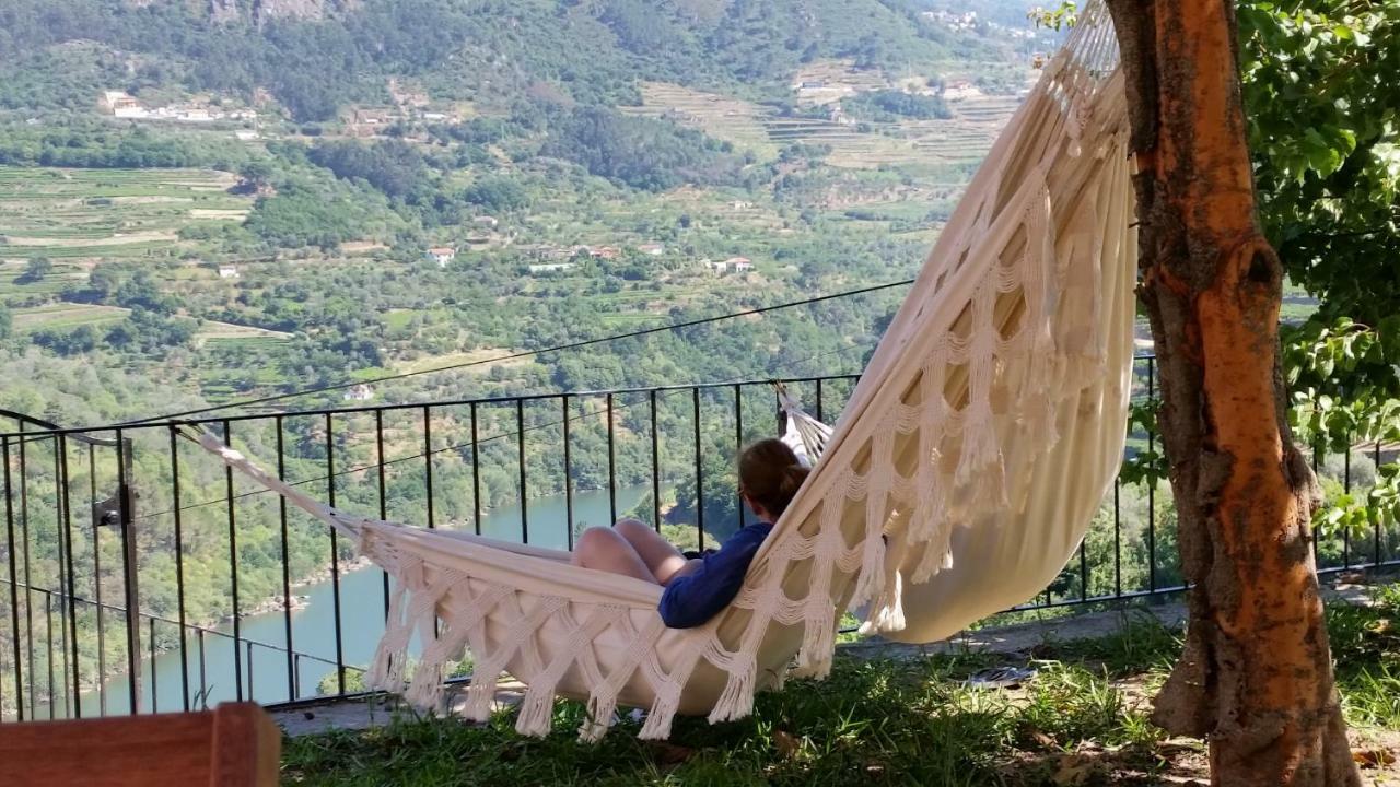 Quinta Barqueiros D'Ouro - Casa Da Musica Villa Mesão Frio Екстериор снимка